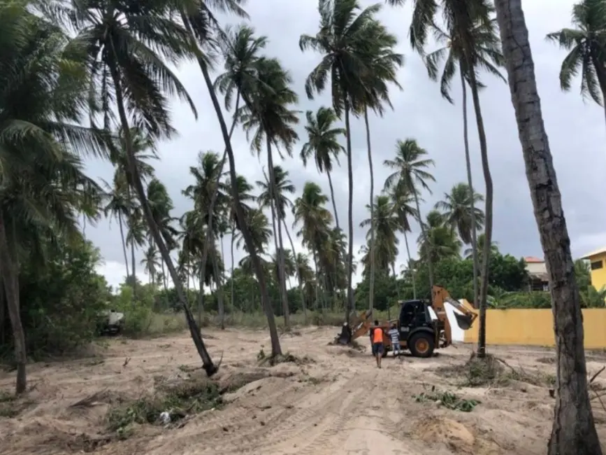 Foto 4 de Terreno / Lote à venda, 2400m2 em Centro, Sao Miguel Do Gostoso - RN