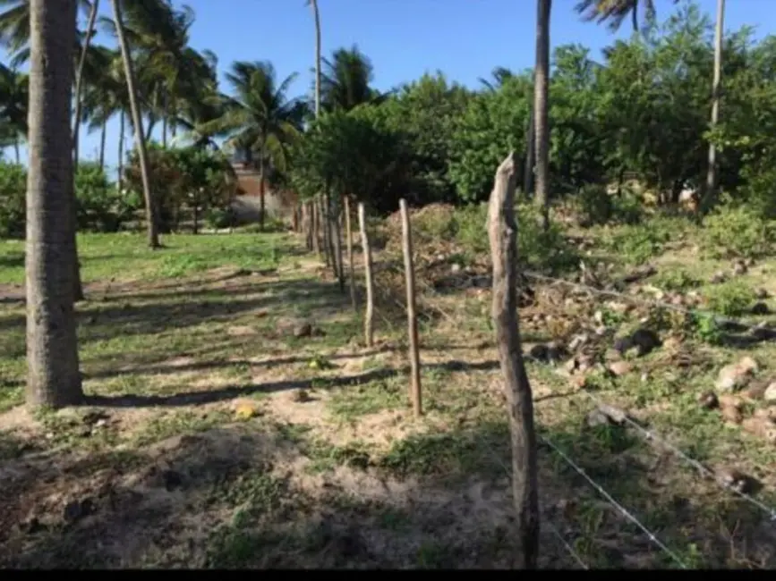 Foto 7 de Terreno / Lote à venda, 2400m2 em Centro, Sao Miguel Do Gostoso - RN