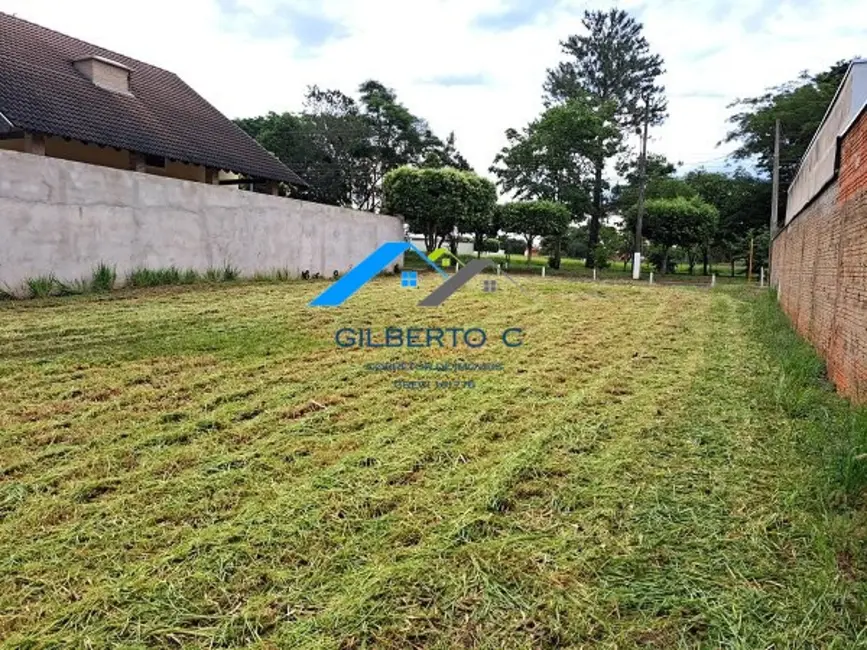 Terreno / Lote à venda, 600m2 em Piratininga - SP - imagem 8 Foto 8 de Terreno / Lote à venda, 600m2 em Piratininga - SP