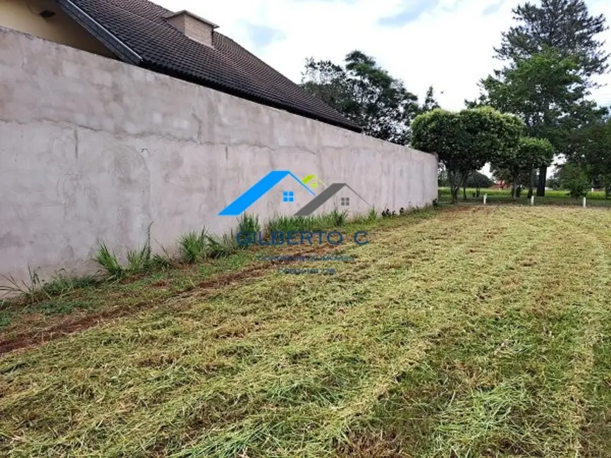 Terreno / Lote à venda, 600m2 em Piratininga - SP - imagem 7 Foto 7 de Terreno / Lote à venda, 600m2 em Piratininga - SP