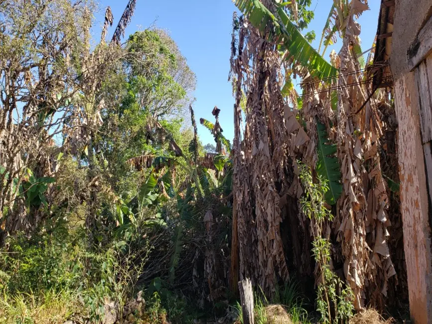 Foto 7 de Sítio / Rancho à venda em Castro, Entre Rios De Minas - MG