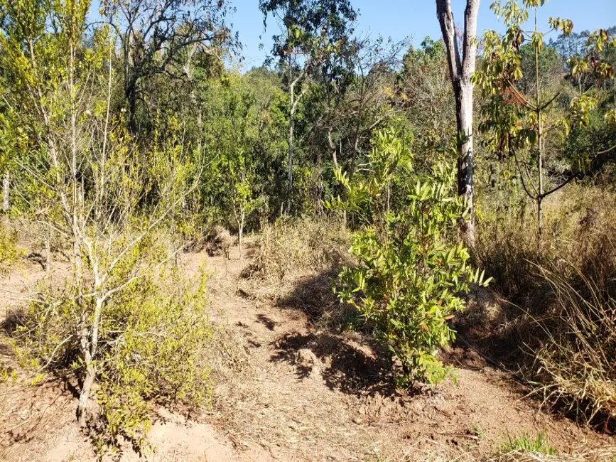 Foto 9 de Sítio / Rancho à venda em Castro, Entre Rios De Minas - MG