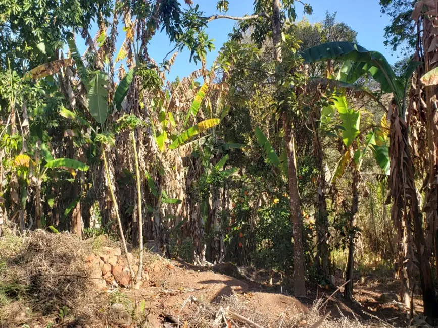 Foto 8 de Sítio / Rancho à venda em Castro, Entre Rios De Minas - MG
