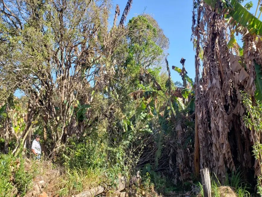 Foto 6 de Sítio / Rancho à venda em Castro, Entre Rios De Minas - MG