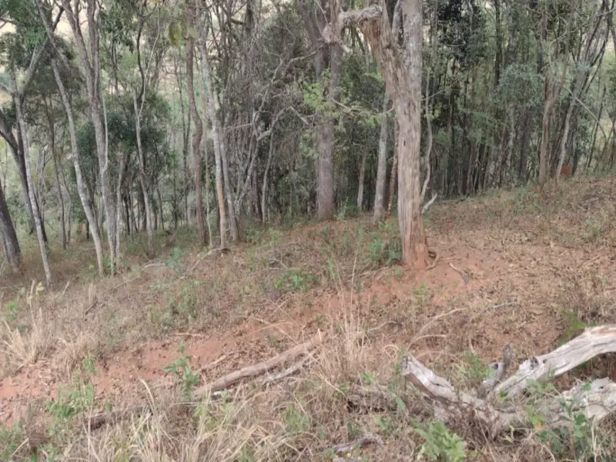 Foto 3 de Sítio / Rancho à venda em Desterro De Entre Rios - MG