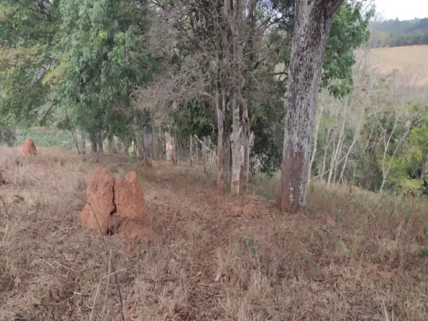 Foto 6 de Sítio / Rancho à venda em Desterro De Entre Rios - MG