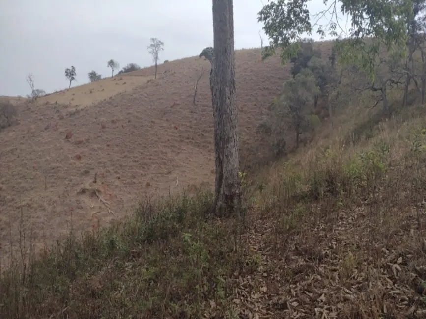 Foto 8 de Sítio / Rancho à venda em Desterro De Entre Rios - MG