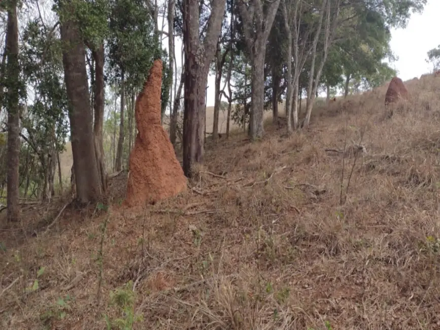 Foto 4 de Sítio / Rancho à venda em Desterro De Entre Rios - MG
