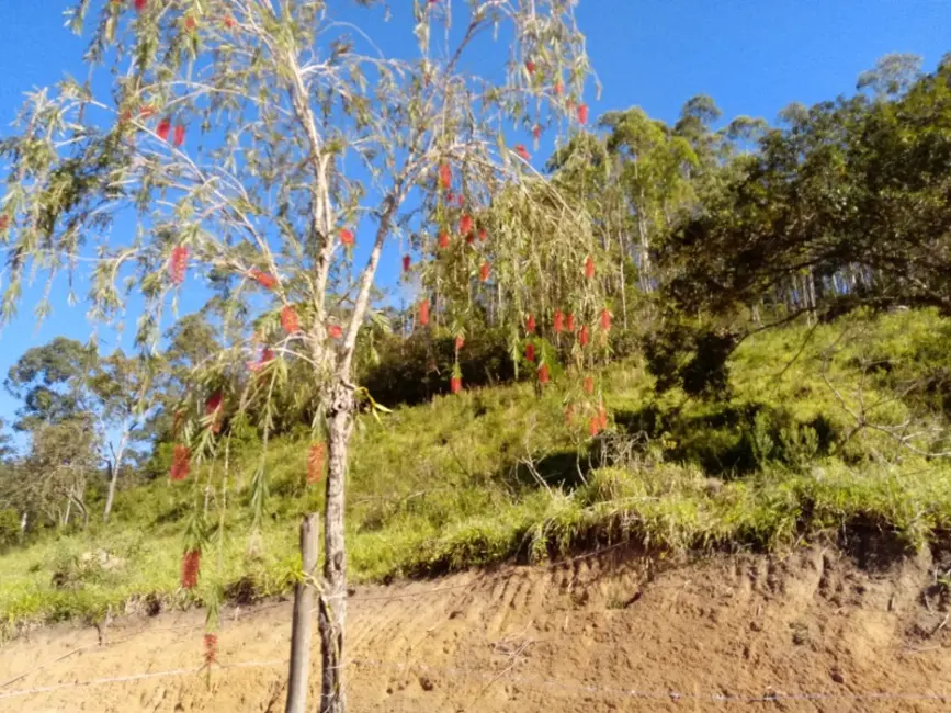 Foto 7 de Sítio / Rancho à venda, 24400m2 em Entre Rios De Minas - MG
