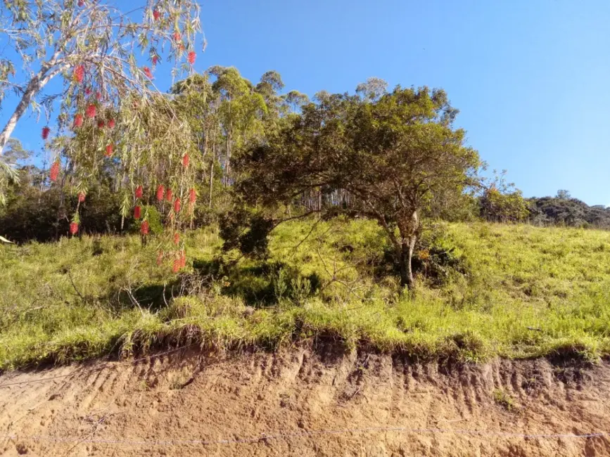 Foto 8 de Sítio / Rancho à venda, 24400m2 em Entre Rios De Minas - MG