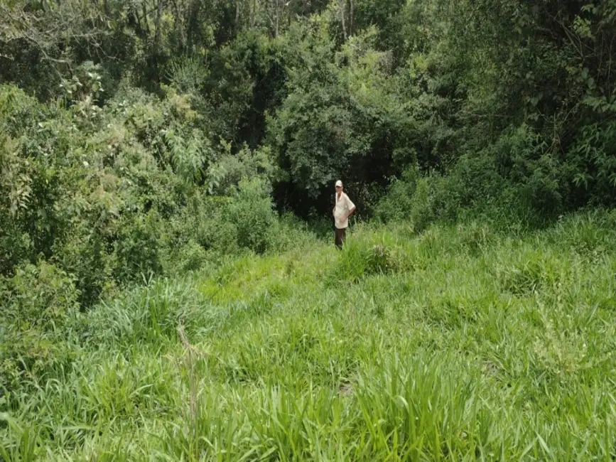 Foto 5 de Terreno / Lote à venda, 40000m2 em Entre Rios De Minas - MG