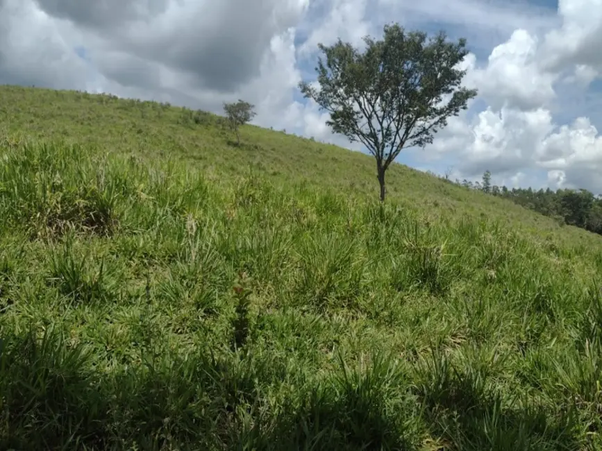 Foto 4 de Terreno / Lote à venda, 40000m2 em Entre Rios De Minas - MG