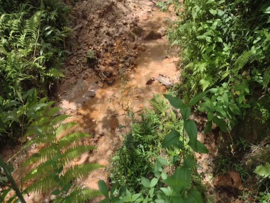 Foto 8 de Terreno / Lote à venda, 40000m2 em Entre Rios De Minas - MG