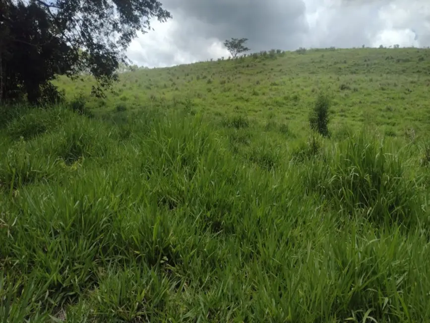 Foto 7 de Terreno / Lote à venda, 40000m2 em Entre Rios De Minas - MG