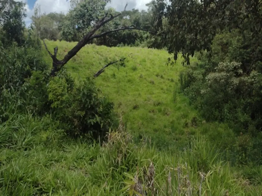 Foto 6 de Terreno / Lote à venda, 40000m2 em Entre Rios De Minas - MG