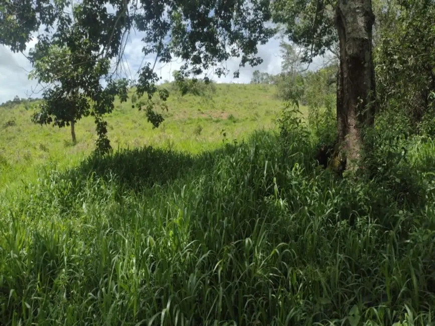 Foto 9 de Terreno / Lote à venda, 40000m2 em Entre Rios De Minas - MG