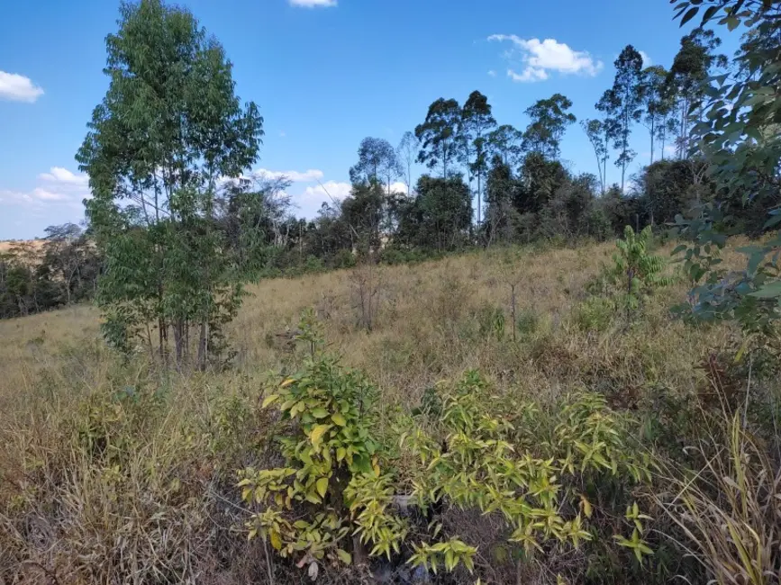 Foto 4 de Terreno / Lote à venda, 420000m2 em Sao Tiago - MG