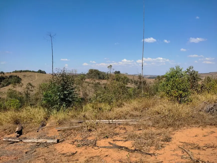 Foto 9 de Terreno / Lote à venda, 420000m2 em Sao Tiago - MG