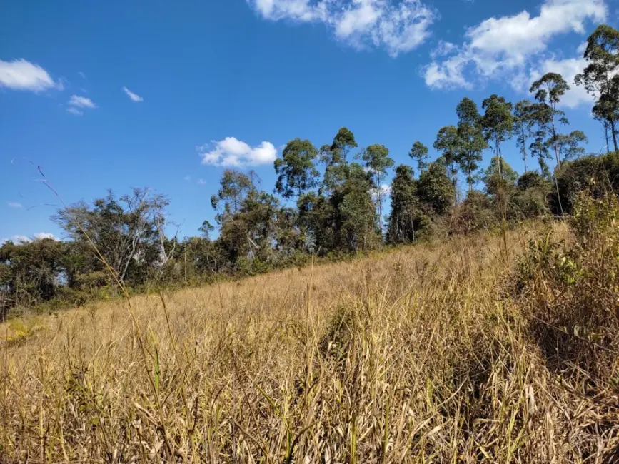 Foto 3 de Terreno / Lote à venda, 420000m2 em Sao Tiago - MG