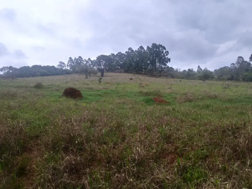 Foto 12 de Fazenda / Haras à venda em Oliveira - MG