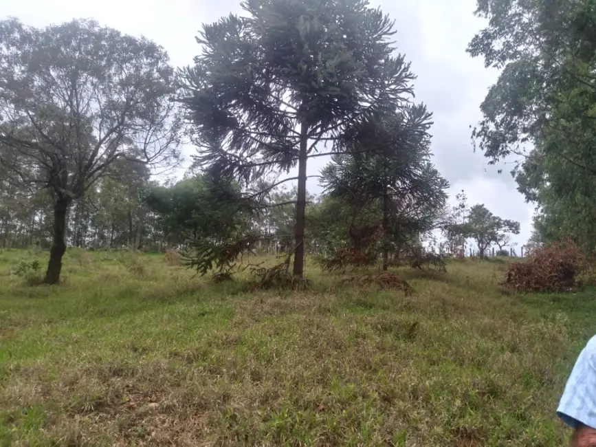 Foto 20 de Fazenda / Haras à venda em Oliveira - MG