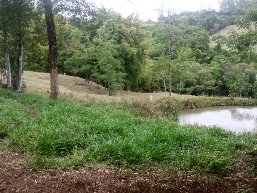 Foto 10 de Fazenda / Haras à venda em Oliveira - MG