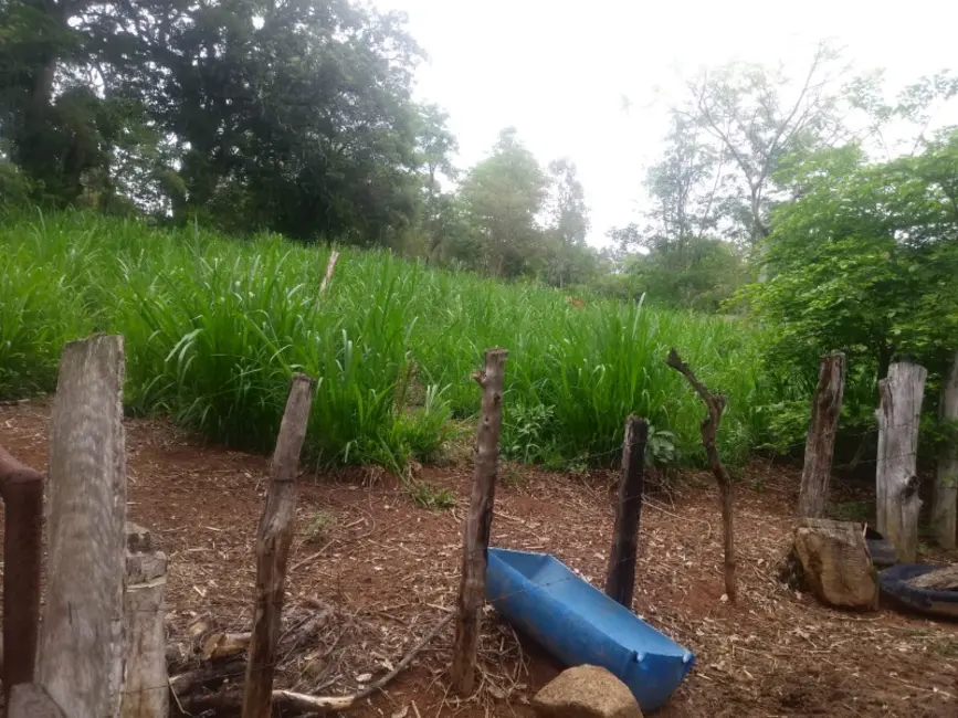 Foto 8 de Fazenda / Haras à venda em Oliveira - MG