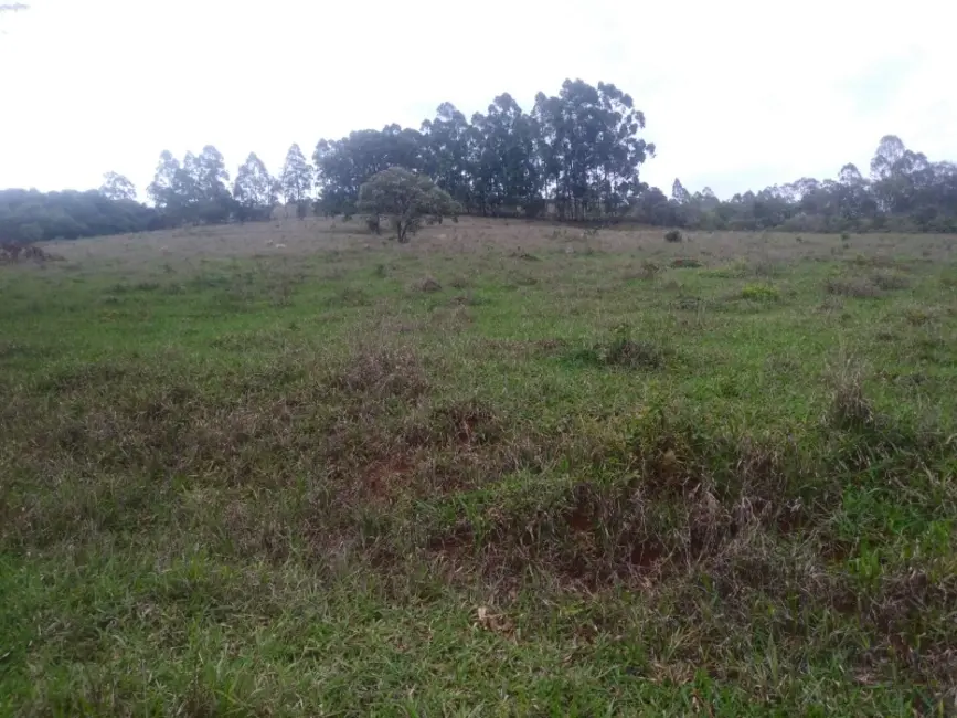 Foto 23 de Fazenda / Haras à venda em Oliveira - MG