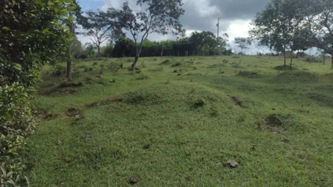 Foto 5 de Sítio / Rancho com 2 quartos à venda em Entre Rios De Minas - MG