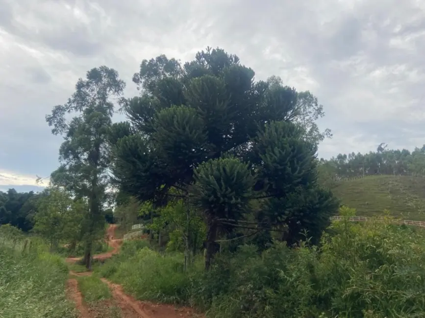 Foto 9 de Sítio / Rancho à venda em Entre Rios De Minas - MG