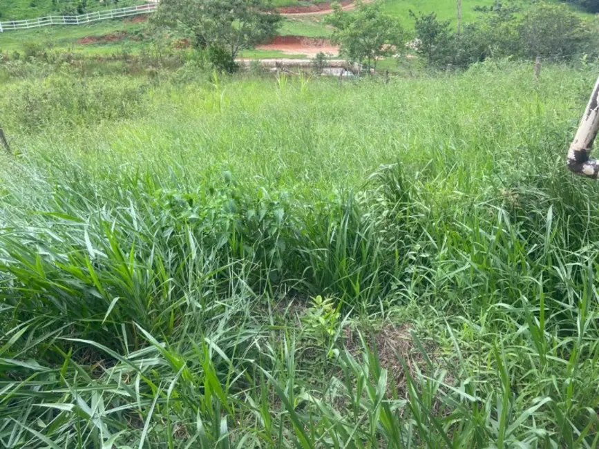 Foto 4 de Sítio / Rancho à venda em Entre Rios De Minas - MG