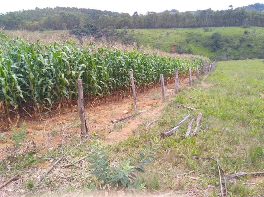 Foto 3 de Terreno / Lote à venda, 300000m2 em Oliveira - MG