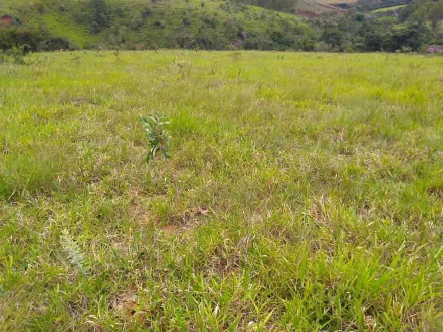 Foto 6 de Terreno / Lote à venda, 300000m2 em Oliveira - MG