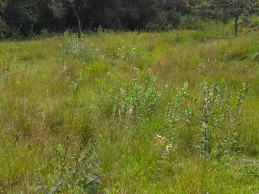 Foto 8 de Terreno / Lote à venda, 300000m2 em Oliveira - MG