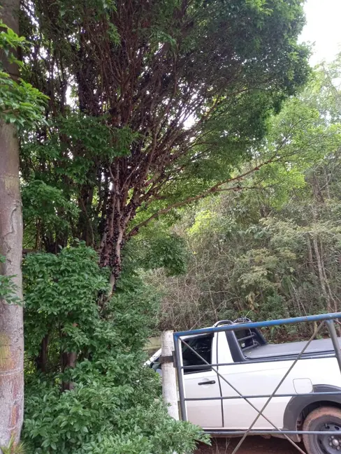 Foto 3 de Sítio / Rancho à venda em Desterro De Entre Rios - MG