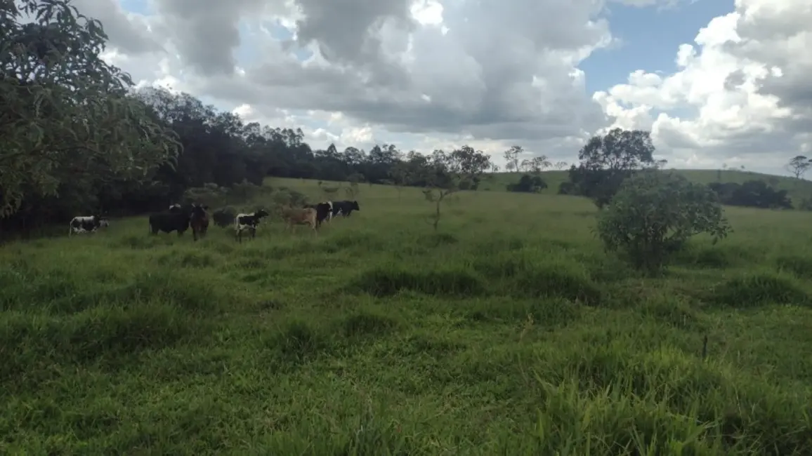 Terreno / Lote à venda, 470000m2 em Desterro De Entre Rios - MG - imagem 4 Foto 4 de Terreno / Lote à venda, 470000m2 em Desterro De Entre Rios - MG