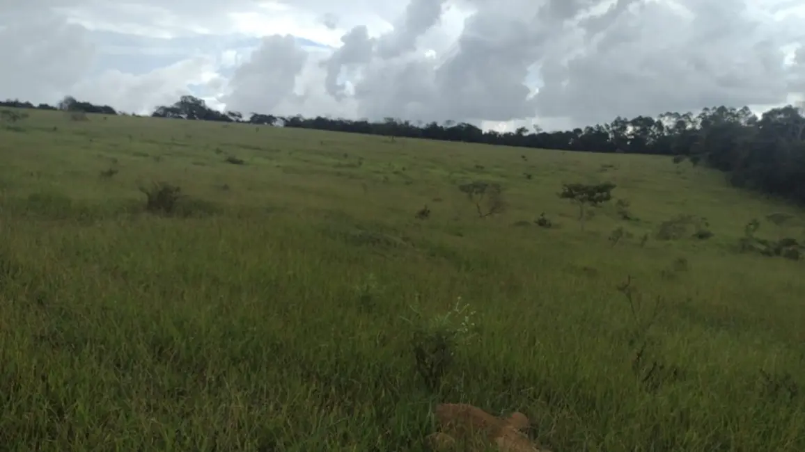 Terreno / Lote à venda, 470000m2 em Desterro De Entre Rios - MG - imagem 9 Foto 9 de Terreno / Lote à venda, 470000m2 em Desterro De Entre Rios - MG