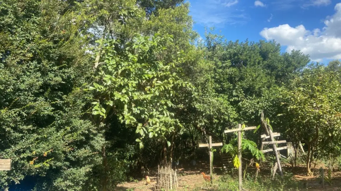 Foto 7 de Sítio / Rancho com 5 quartos à venda, 250m2 em Entre Rios De Minas - MG