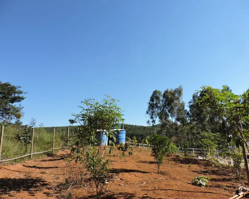 Foto 9 de Sítio / Rancho à venda em Entre Rios De Minas - MG