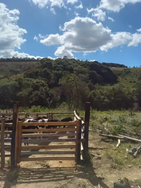 Terreno / Lote à venda, 190000m2 em Desterro De Entre Rios - MG - imagem 8 Foto 8 de Terreno / Lote à venda, 190000m2 em Desterro De Entre Rios - MG