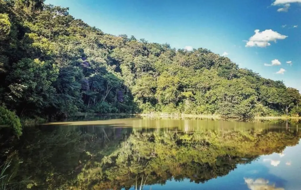 Foto 6 de Terreno / Lote à venda, 20000m2 em Entre Rios De Minas - MG