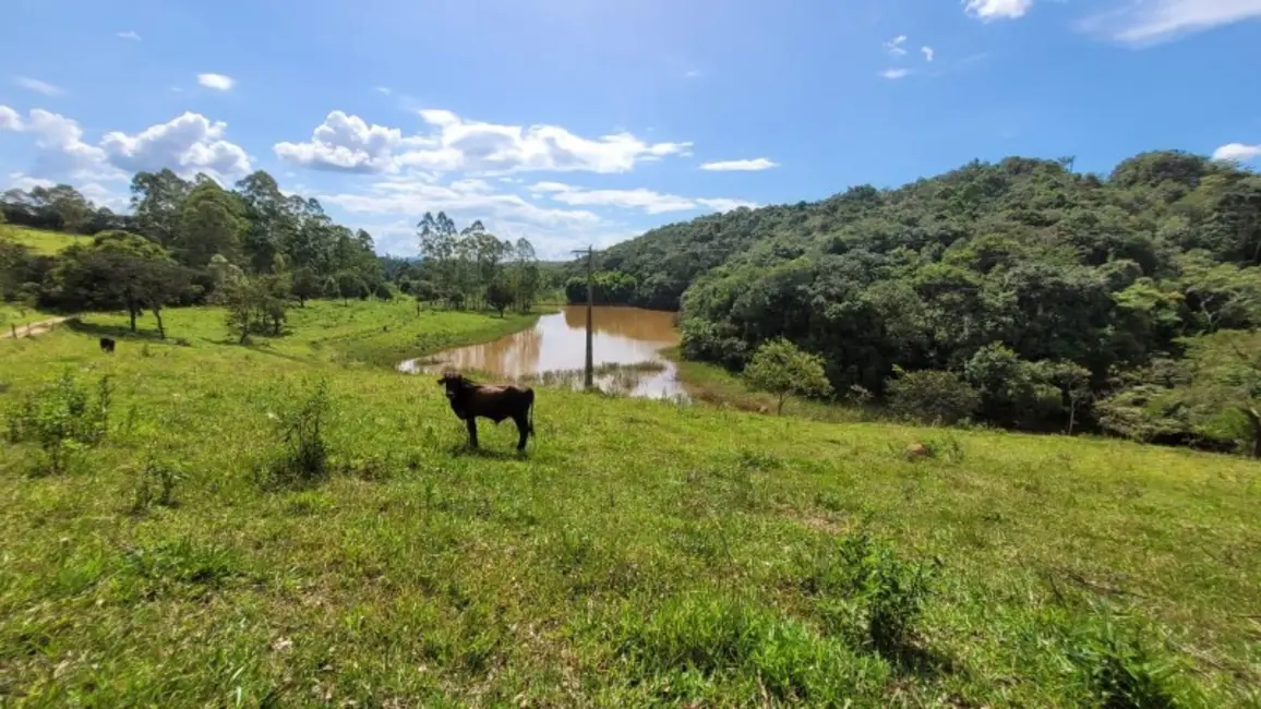 Foto 3 de Terreno / Lote à venda, 20000m2 em Entre Rios De Minas - MG