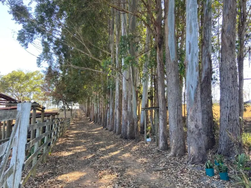 Foto 6 de Sítio / Rancho à venda em Desterro De Entre Rios - MG