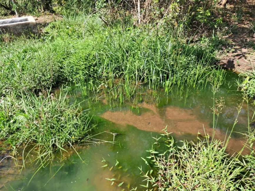 Foto 2 de Sítio / Rancho à venda em Desterro De Entre Rios - MG