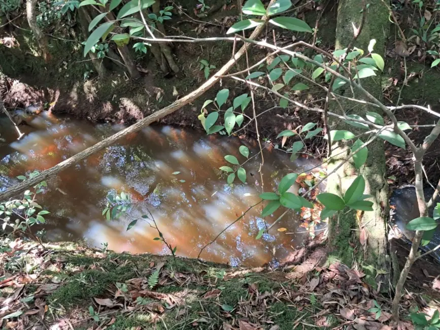 Foto 8 de Sítio / Rancho à venda em Desterro De Entre Rios - MG