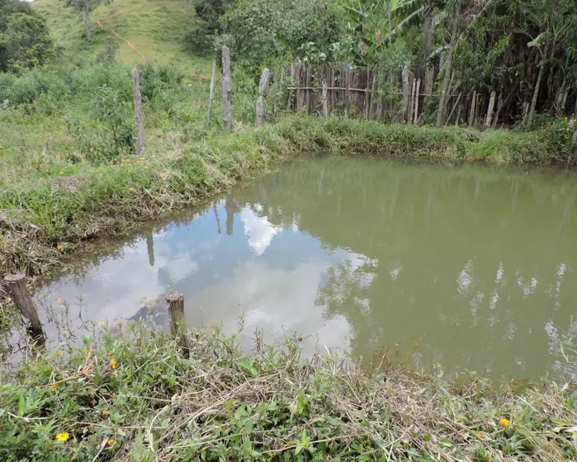 Foto 5 de Sítio / Rancho à venda em Entre Rios De Minas - MG