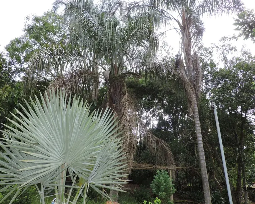 Foto 9 de Sítio / Rancho à venda em Desterro De Entre Rios - MG