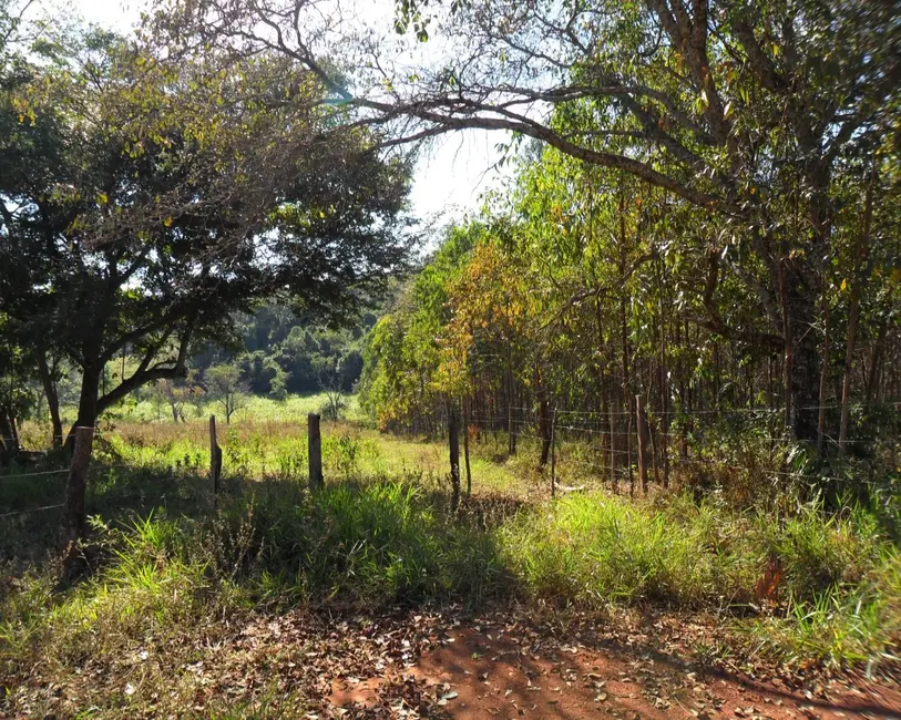 Foto 10 de Sítio / Rancho à venda em Piracema - MG