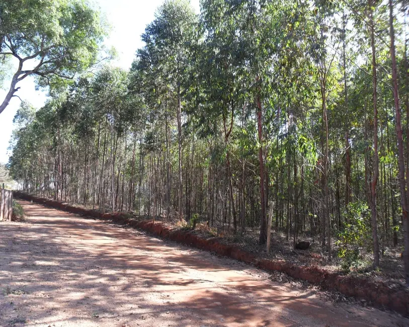Foto 9 de Sítio / Rancho à venda em Piracema - MG