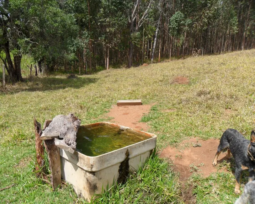 Foto 12 de Sítio / Rancho à venda em Piracema - MG